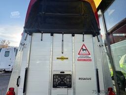 HUMBAUR Pegasus 2 Pferdeanhänger 2,4t Neu ALU DS-Klappe