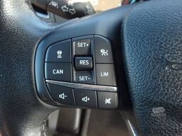 FORD Nugget 185PS Autm. Markise AHK ACC Navi SHZ