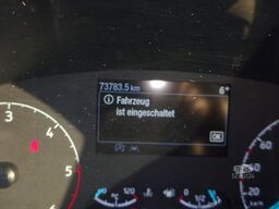 FORD Nugget 185PS Autm. Markise AHK ACC Navi SHZ