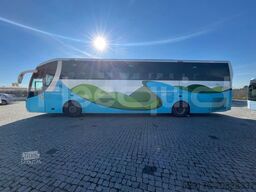 Scania Stellae