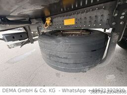 SCHMITZ CARGOBULL SCBS3B*5 Rohrbahnen*Fleischhang*Schmitz-Achsen*