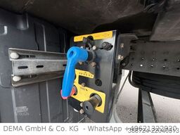 SCHMITZ CARGOBULL SCBS3B*5 Rohrbahnen*Fleischhang*Schmitz-Achsen*