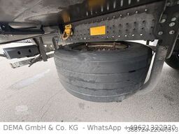 SCHMITZ CARGOBULL SCBS3B*5 Rohrbahnen*Fleischhang*Schmitz-Achsen*