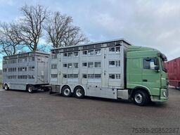 DAF XF 480 Pezzaioli combi Livestock 1/2/3 stock Type2