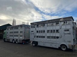 DAF XF 480 Pezzaioli combi Livestock 1/2/3 stock Type2
