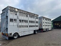 DAF XF 480 Pezzaioli combi Livestock 1/2/3 stock Type2