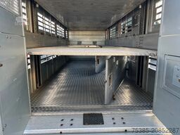 DAF XF 480 Pezzaioli combi Livestock 1/2/3 stock Type2