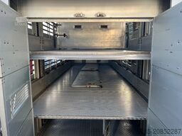 DAF XF 480 Pezzaioli combi Livestock 1/2/3 stock Type2