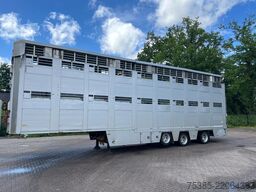 Berdex Livestock Type 2