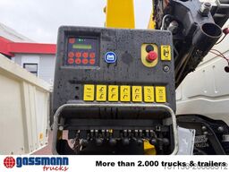 Iveco Trakker AD190T36 4x2, Kran,