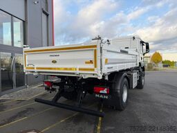 MAN TGS 18.440 4x2 BL MEILLER Krankipper Palfinger