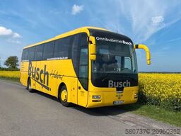 MAN R07 Lions Coach