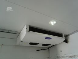 Renault D210 12T / Bitemperature Refrigerator