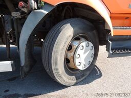 RENAULT 220dci Tankwagen (blatt)