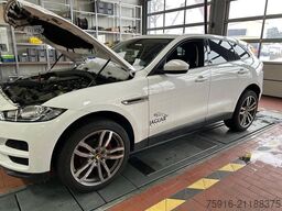 JAGUAR F-Pace F-PACE Pure AWD mit Motorschaden