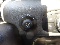 FORD Big Nugget 184PS Autm. Tempomat Markise