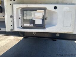 SCHMITZ THERMO KING DOPPELSTOCK BLUMENBREITE LIFT