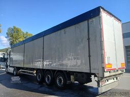 Reisch RSBS-3-13