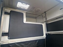 Opel Movano Occasion paardenwagen STX S3 Pro-Safety ...