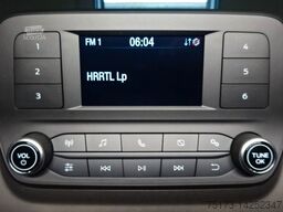 FORD Transit Custom 280L1H1 LKW Trend Kasten PDC