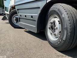 Schmidt Swingo Compact 200 Euro 6