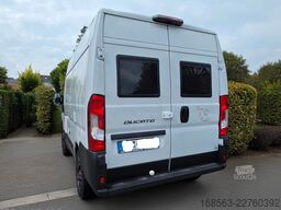 AFFINITY Freedo 541 HT Comfort