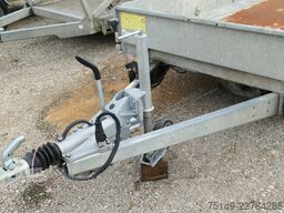 Variant 3517 MT, 3.600mm lang, Tandem, Verzinkt