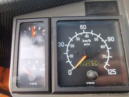 MULTICAR Hansa APZ 1003 L Trilety WBH 25/Straßenwaschbalk