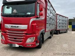 DAF XF 530