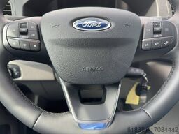 FORD TRANSIT 290 L2 H2 Kasten LKW Trend 77 KW