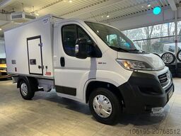 FIAT Ducato 2,3 HDI Thermoking V300 MAX -30C.