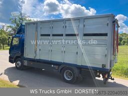 MERCEDES-BENZ Atego 3 2 1524 | Kaba 2 Stock