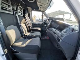 IVECO Daily 35C13 TIEFKÜHLER/ 8PAL/ 230V/ TEMP.