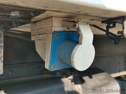 IVECO Daily 35C13 TIEFKÜHLER/ 8PAL/ 230V/ TEMP.