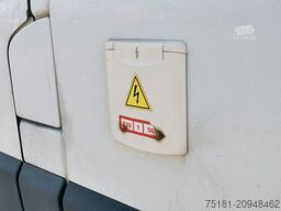 RENAULT Master 165 L3H2/KÜHLKASTEN/ UNFALL!/KEIN MOTOR!