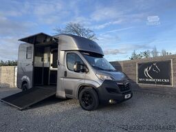OPEL MOVANO PAARDENWAGEN | HORSETRUCK | STX AKX | ST...