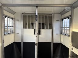 OPEL MOVANO PAARDENWAGEN | HORSETRUCK | STX AKX | ST...