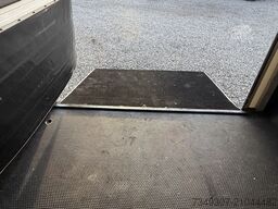 OPEL MOVANO PAARDENWAGEN | HORSETRUCK | STX AKX | ST...