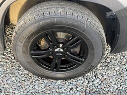 OPEL MOVANO PAARDENWAGEN | HORSETRUCK | STX AKX | ST...