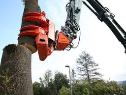 Westtech CS780 / Greifersäge / Fällkopf / sofort