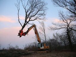 Westtech CS780 / Greifersäge / Fällkopf / sofort