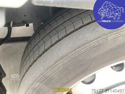 DAF XF (New Gen) 480