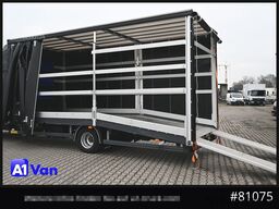 IVECO Daily 72C21 A8V/P Autotransporter, Klima, Seilwinde