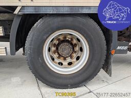 MAN TGM 290