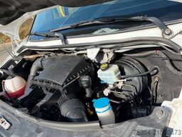 MERCEDES-BENZ Sprinter 313 Cdi Maxi Flex-i-Trans 9 Sitze+Lift