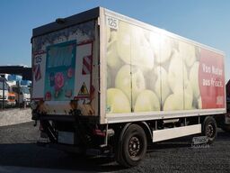  Wuellhorst TFA 18-7,5 Kühlkoffer LBW Carrier