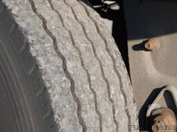  Wuellhorst TFA 18-7,5 Kühlkoffer LBW Carrier