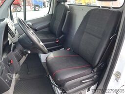 Ruthmann Sprinter 313 | SPRINTER 313 | 22 METER | JIB | ...