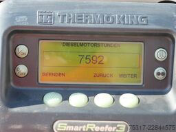 SCHMITZ CARGOBULL SKO 24/TK SLXi 300 /DS /BLUMEN / BPW