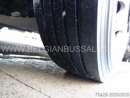 Volvo 9700 HD / VIP / 13.0m /